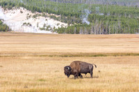 Yellowstone National Park, Wyoming
